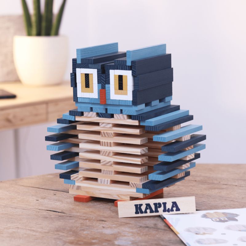 KAPLA - Owl Case