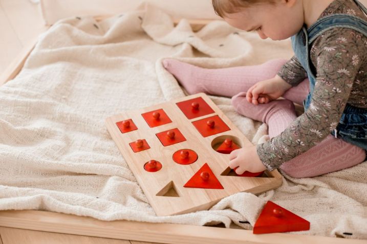 QToys - Montessori Shape Puzzle